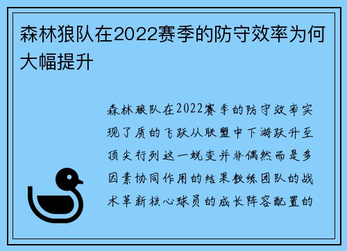 森林狼队在2022赛季的防守效率为何大幅提升